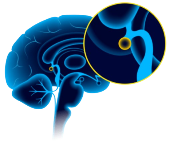 Quantum Attraction Code Benefits